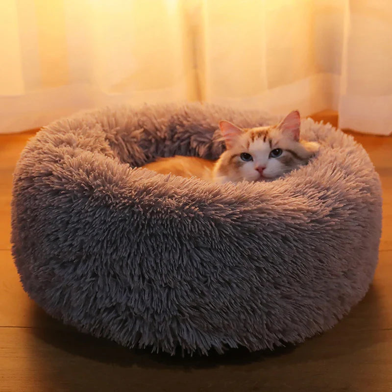 Fluffy-Donut Bed